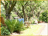 Mediteranes Flair im Garten Ingrid
